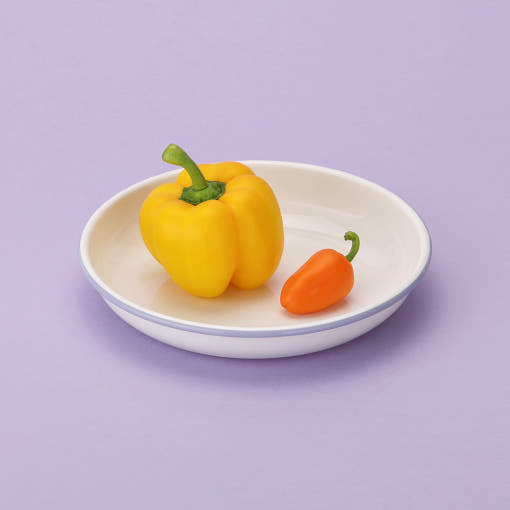 Neoflam BetterFinger 琺瑯中盤 M 白色