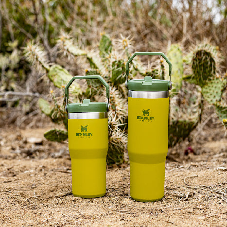 美國品牌 Stanley 手提 摺疊吸管杯 887ml