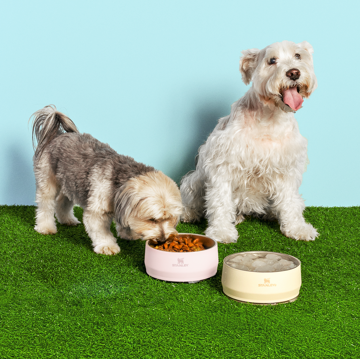 stanley Pet Bowl 不鏽鋼寵物碗 709ml 玫瑰石英 Rose Quartz
