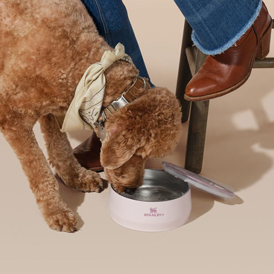 stanley Pet Bowl 不鏽鋼寵物碗 709ml 玫瑰石英 Rose Quartz