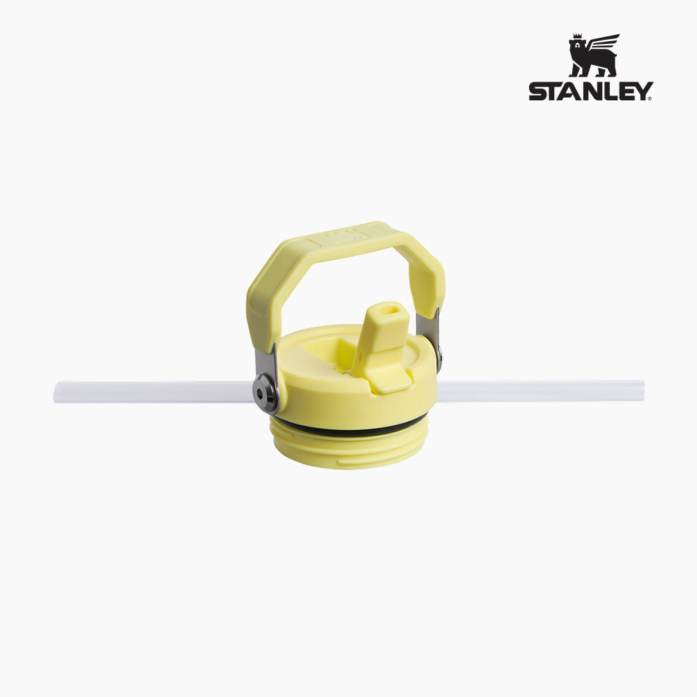 Stanley IceFlow