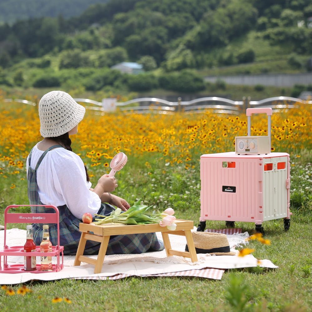 韓國Damda四轆多色款購物車｜第三代｜7色