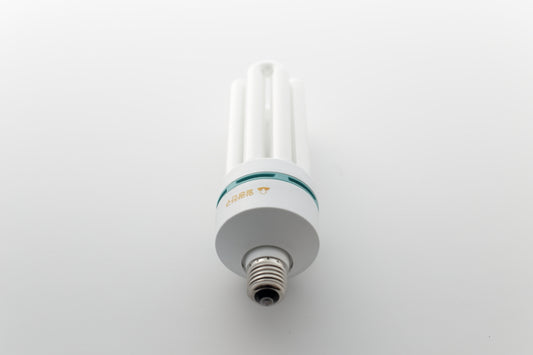 ILKW 燈泡 CFL EL 55W 暖白 E26