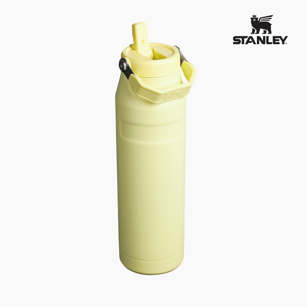 Stanley IceFlow