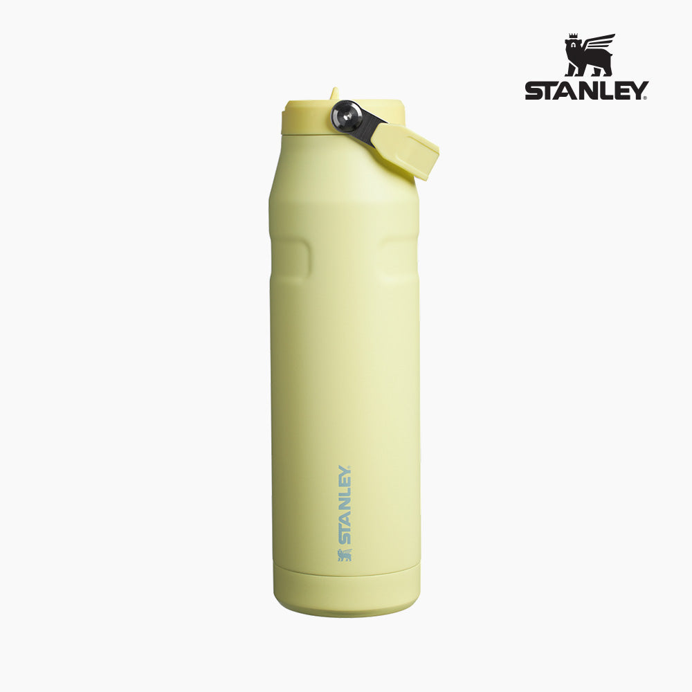 Stanley IceFlow