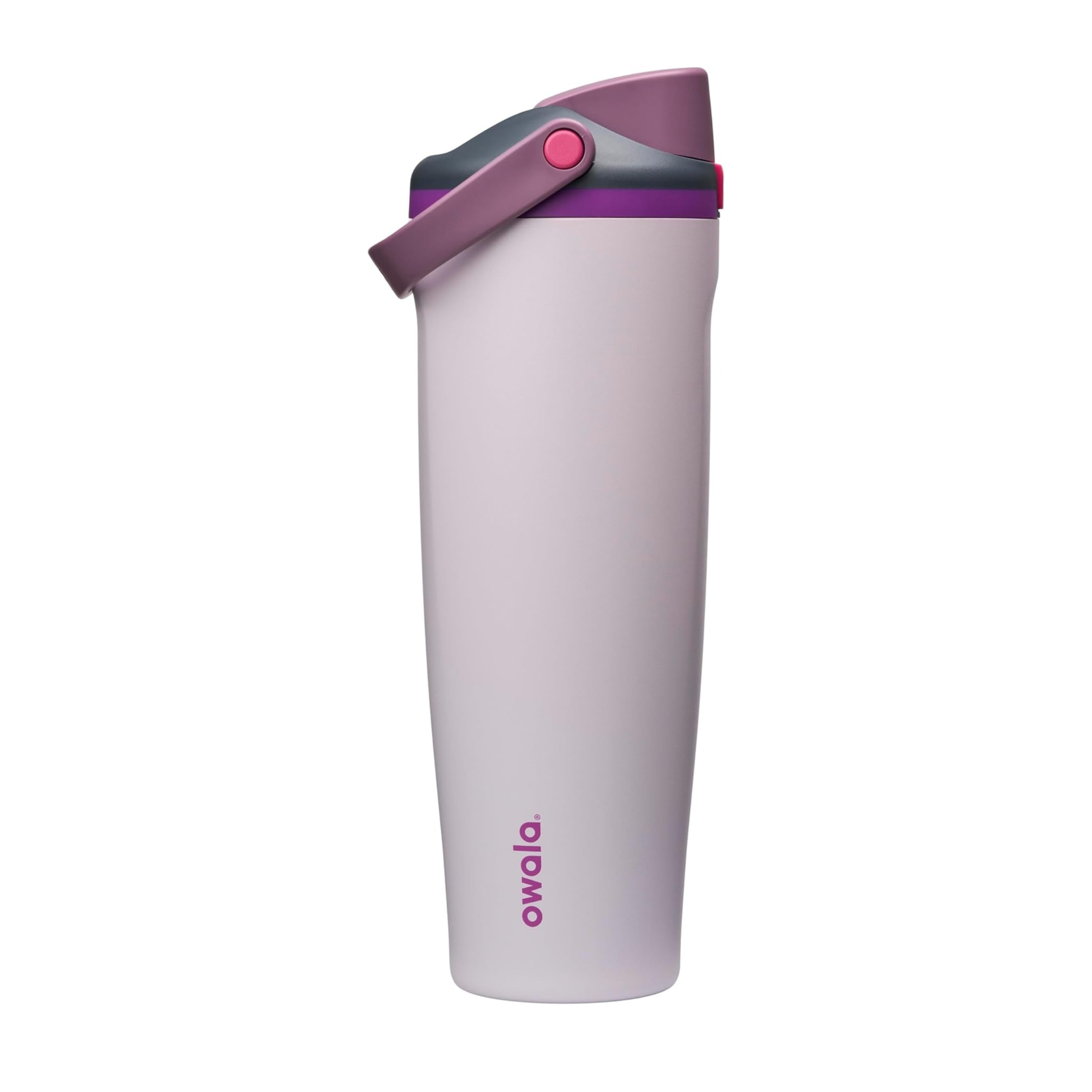 Owala FreeSip Sway 不鏽鋼保溫吸管水瓶 30oz 887ml Dreamy Field