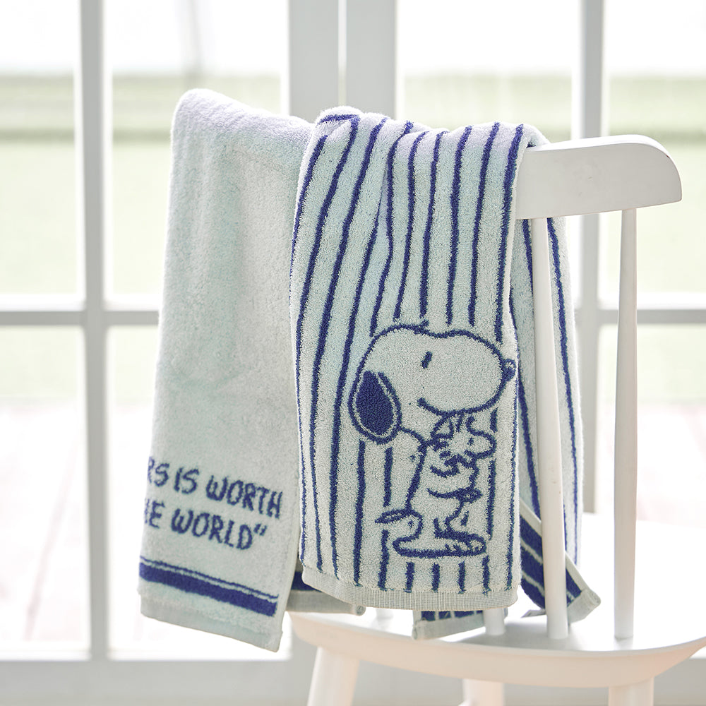Snoopy Peanuts Everblue Towel  毛巾2入組