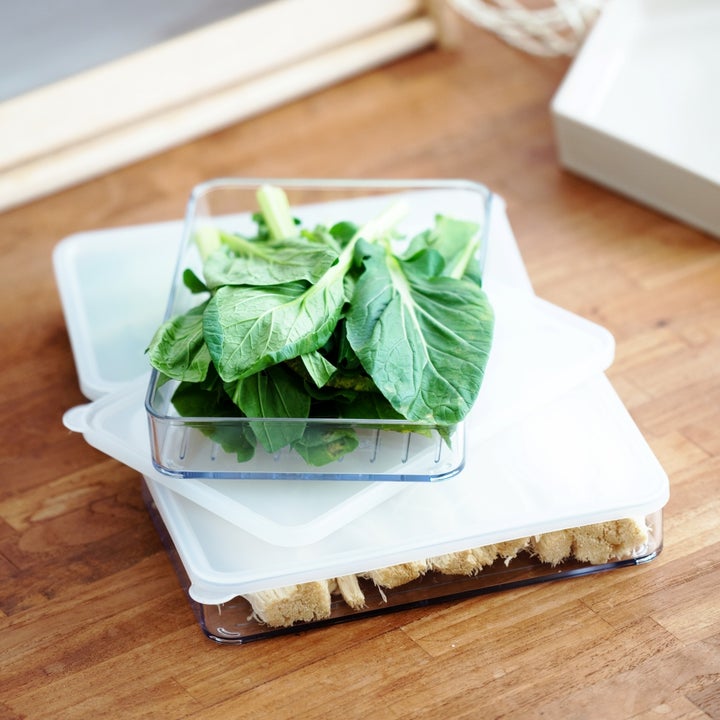 韓國製造 Silicook 600ML收納盒｜扁身款