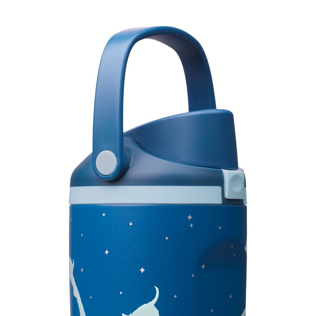 Owala Harry Potter FreeSip Sway 不鏽鋼保溫吸管水瓶 30oz 887ml Patronus