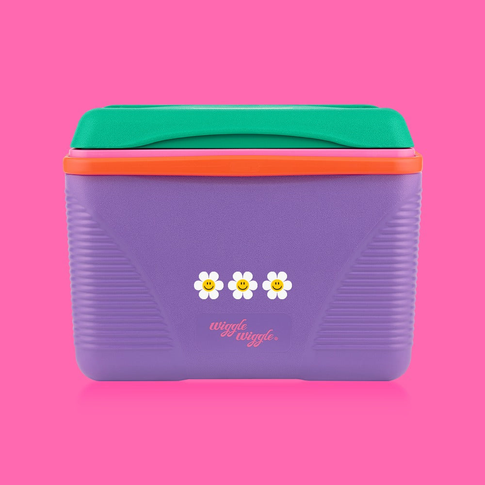 Wiggle Wiggle Ice Box - 紫色與綠色20L冷卻箱