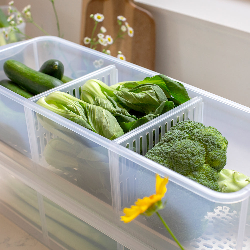 韓國製造 Silicook 蔬菜配菜保險盒